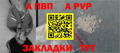 индика Сланцы