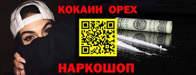 индика Сланцы
