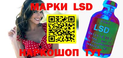 индика Сланцы