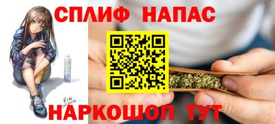 индика Сланцы
