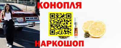 индика Сланцы