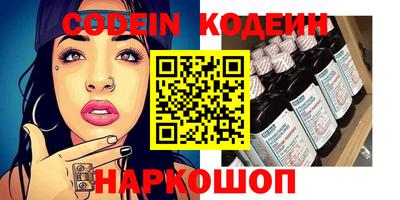 индика Сланцы