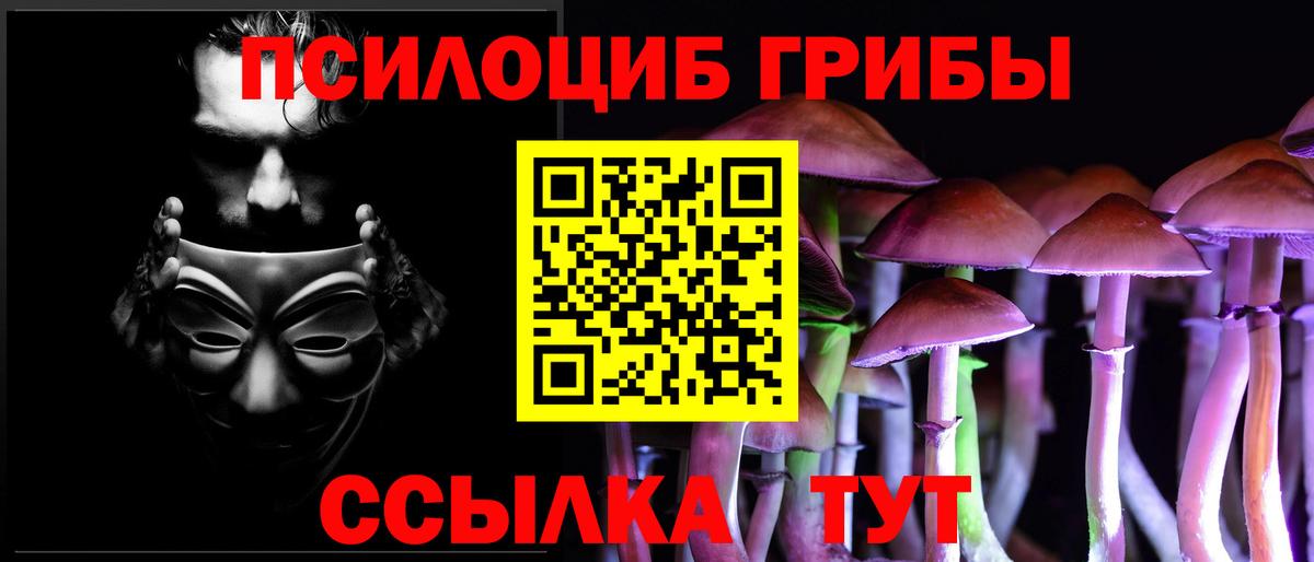Псилоцибиновые грибы мухоморы  Псилоцибиновые грибы MAGIC MUSHROOMS  где купить наркоту  Вход с VPN  Нальчик 